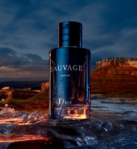 dior sauvage is for man or woman|dior sauvage female version.